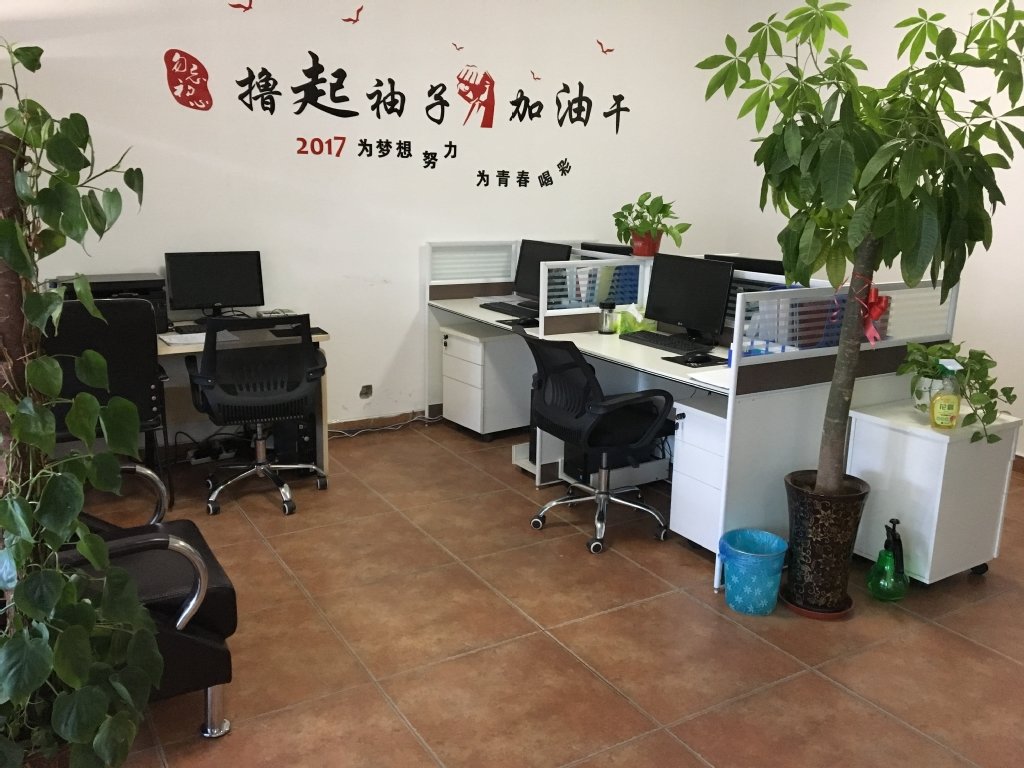 河南鑫鼎工程咨询 财务咨询的专业之选