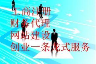 创业一条龙 从企业设立到财务咨询的全面指南